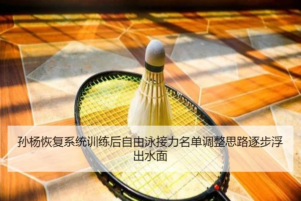 孙杨恢复系统训练后自由泳接力名单调整思路逐步浮出水面